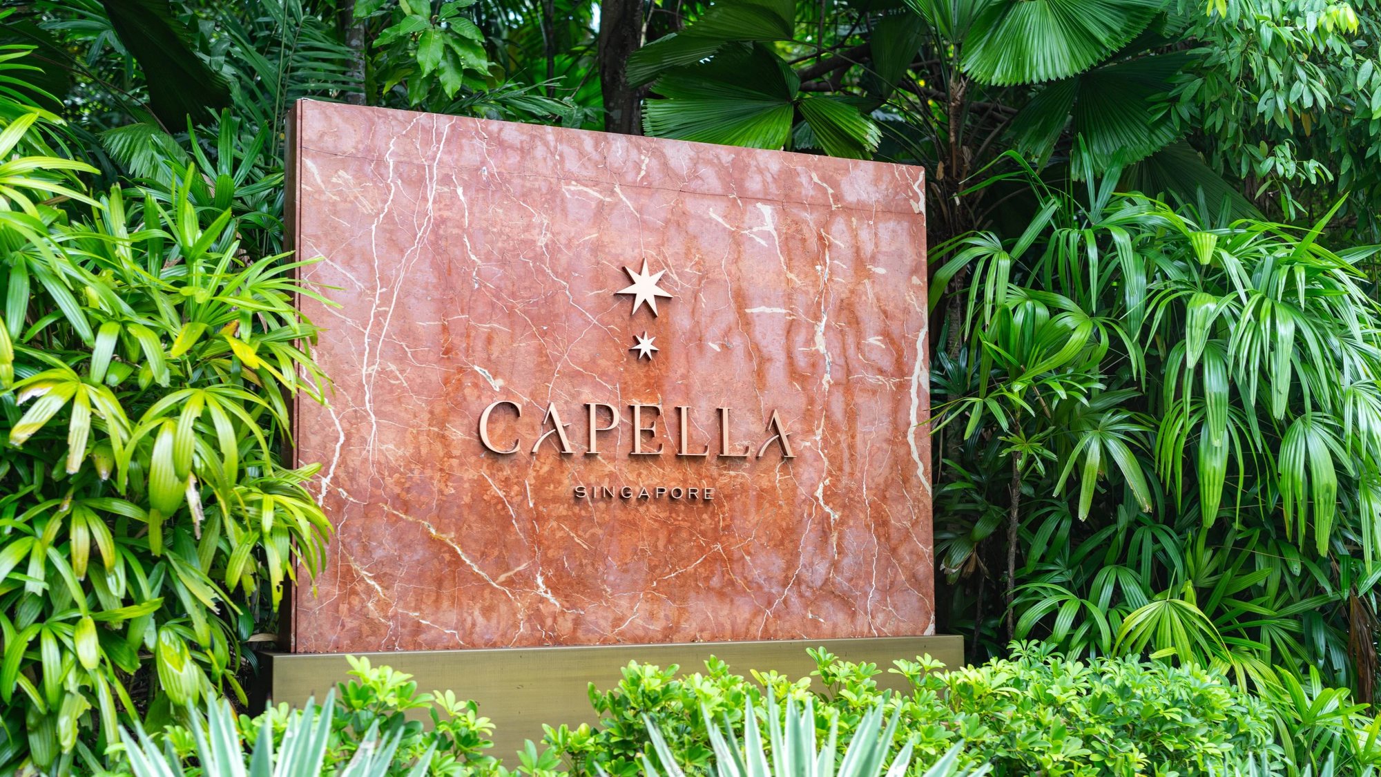 The Capella sign among tropical plants
