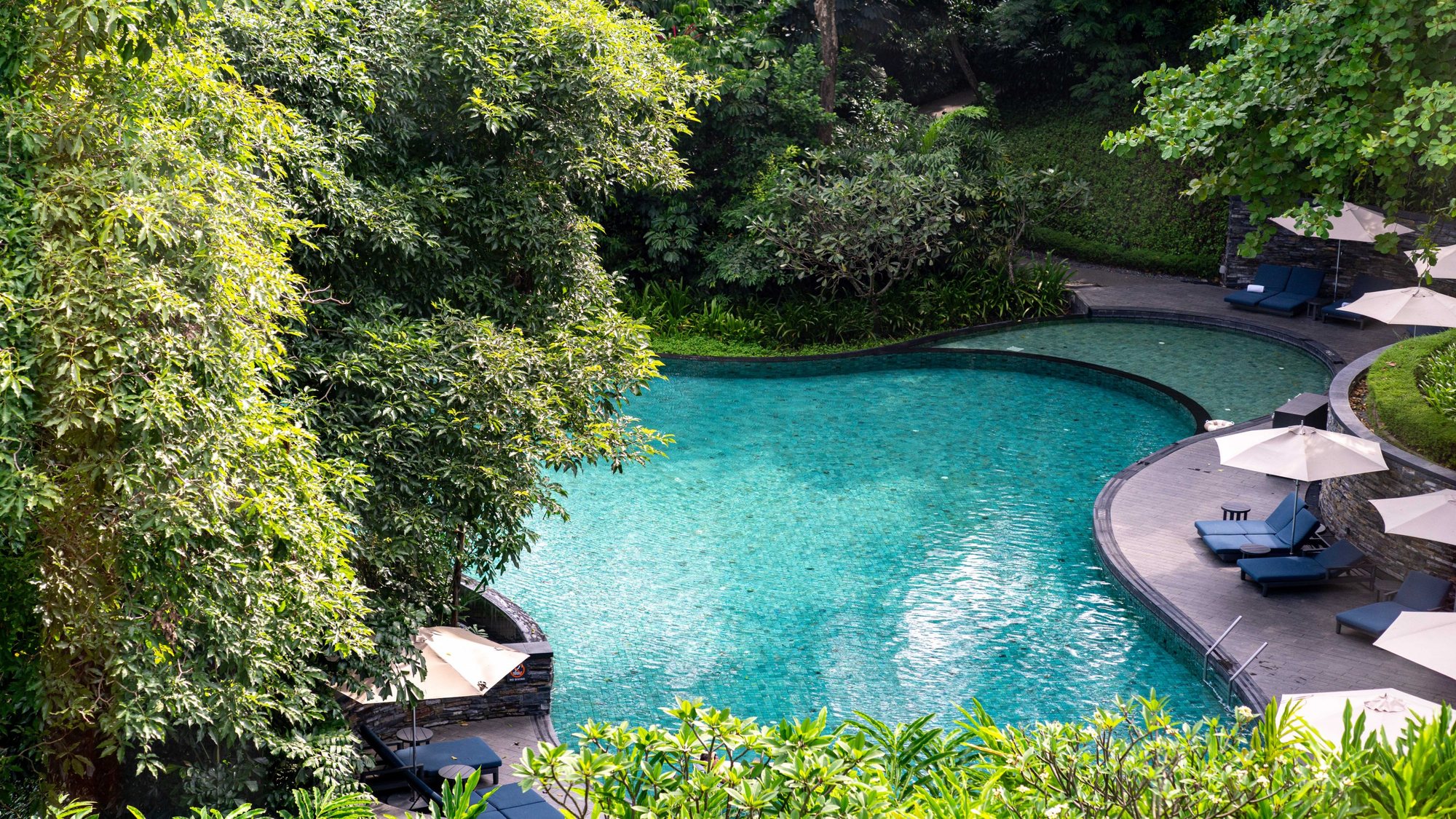 The curving main pool seen from above, surrounded by forest