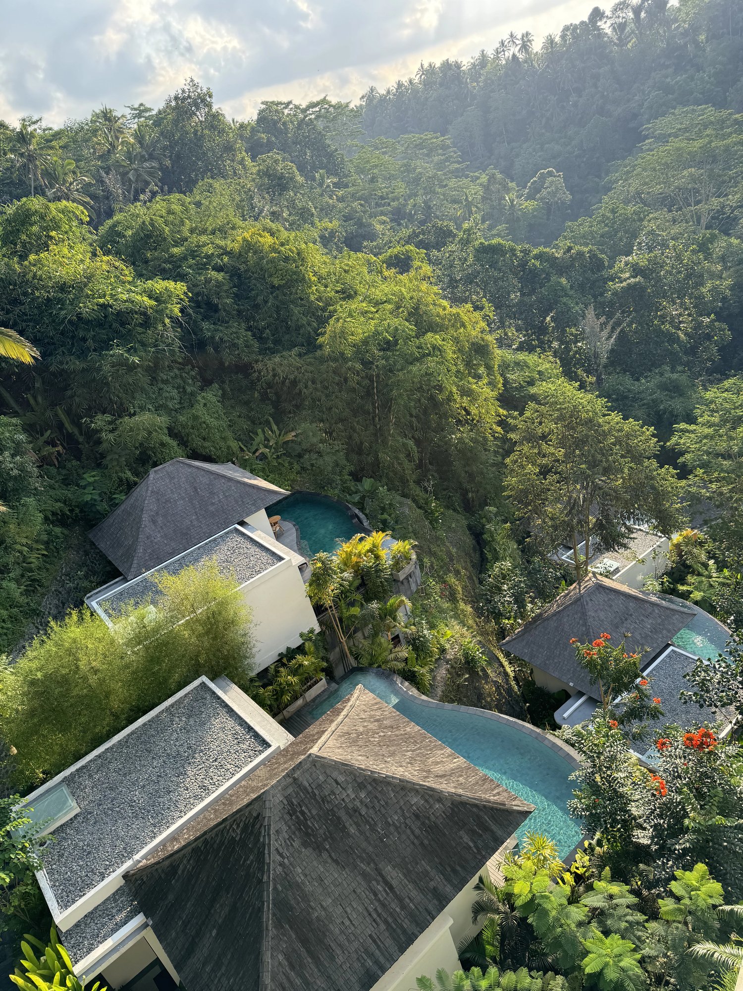 Villa roofs and pools on the slope of the jungle valley