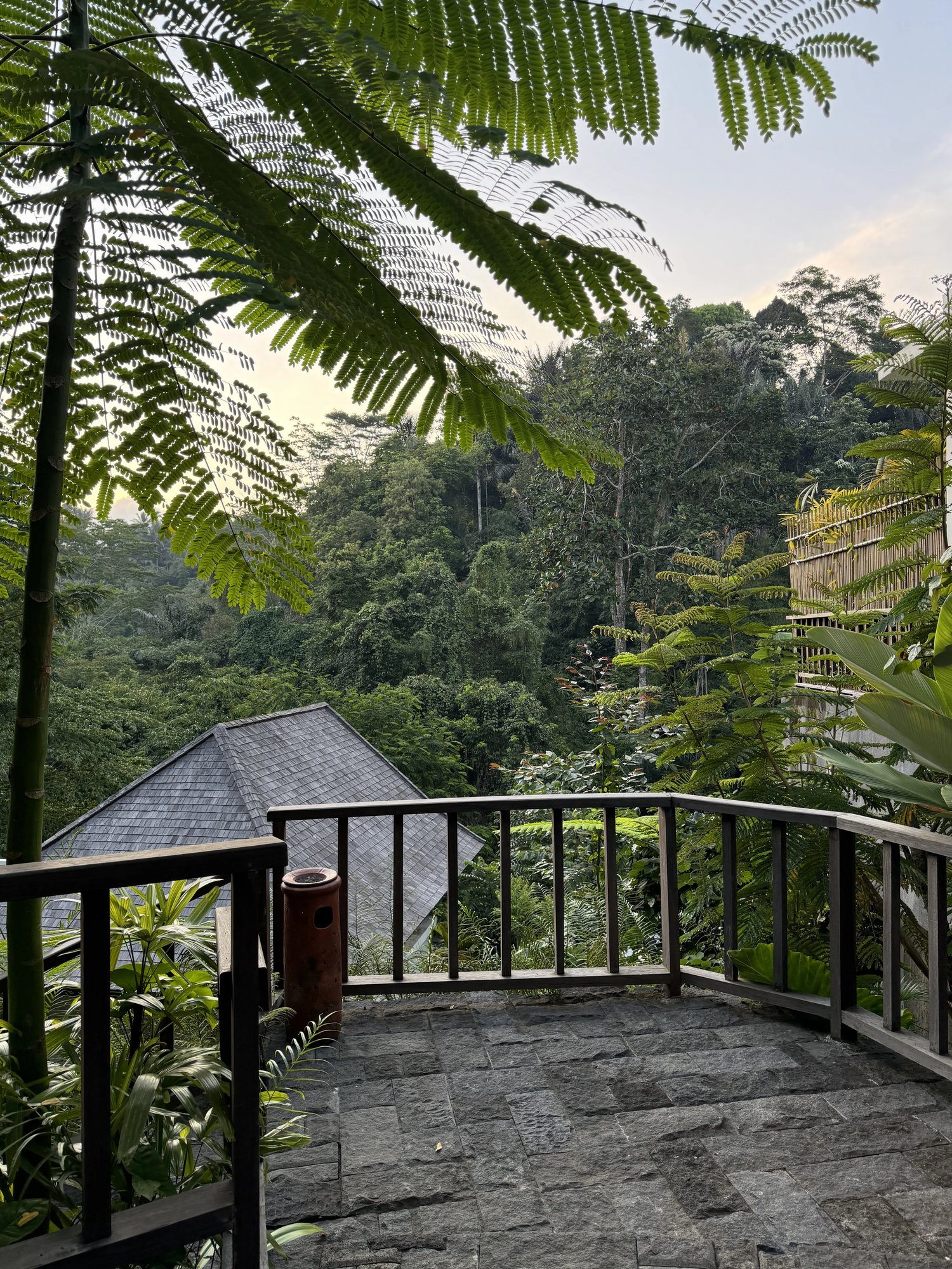 A stone deck under tree ferns looking over the valley