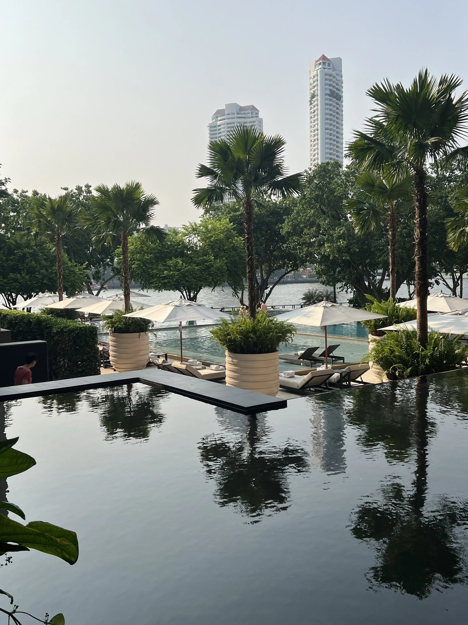 The riverside pool deck behind a black reflecting pond, with palms and loungers under a hazy sky