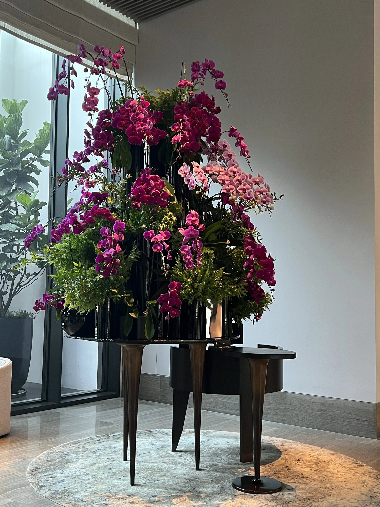 A tall tiered orchid arrangement by the lobby windows