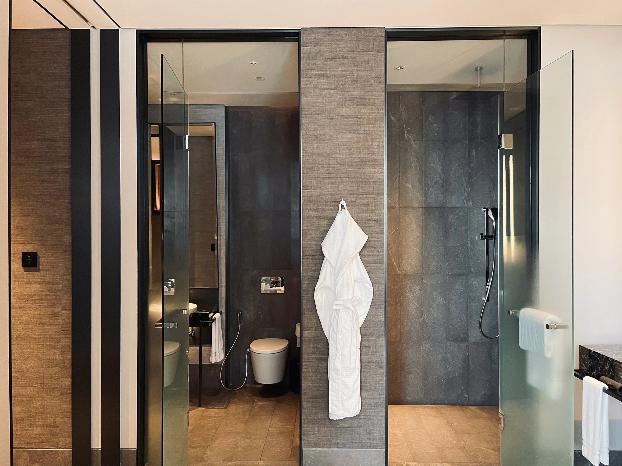 The glass-walled shower and toilet, with a robe hanging between them