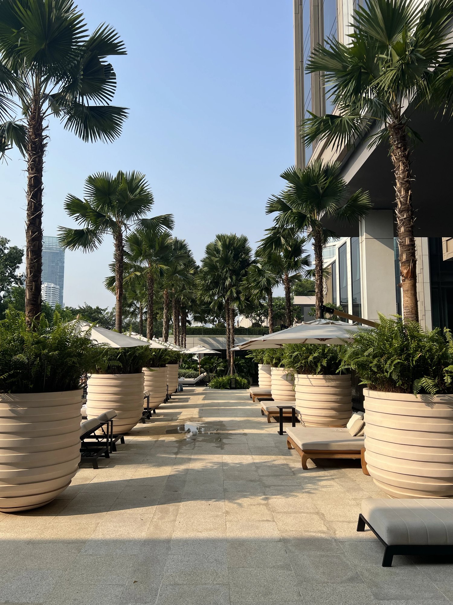 The pool deck lined with potted palms and loungers