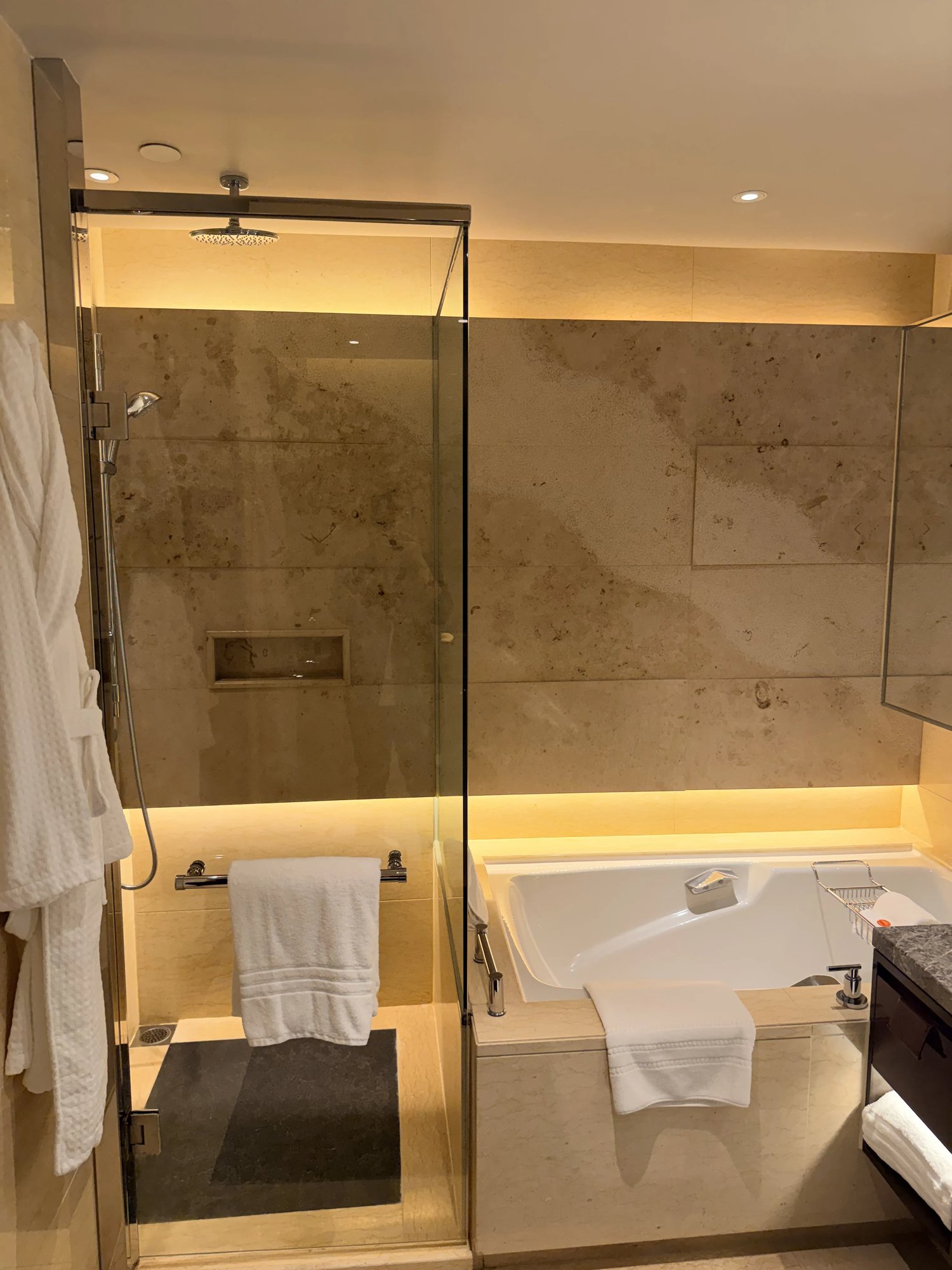 The walk-in shower and bathtub