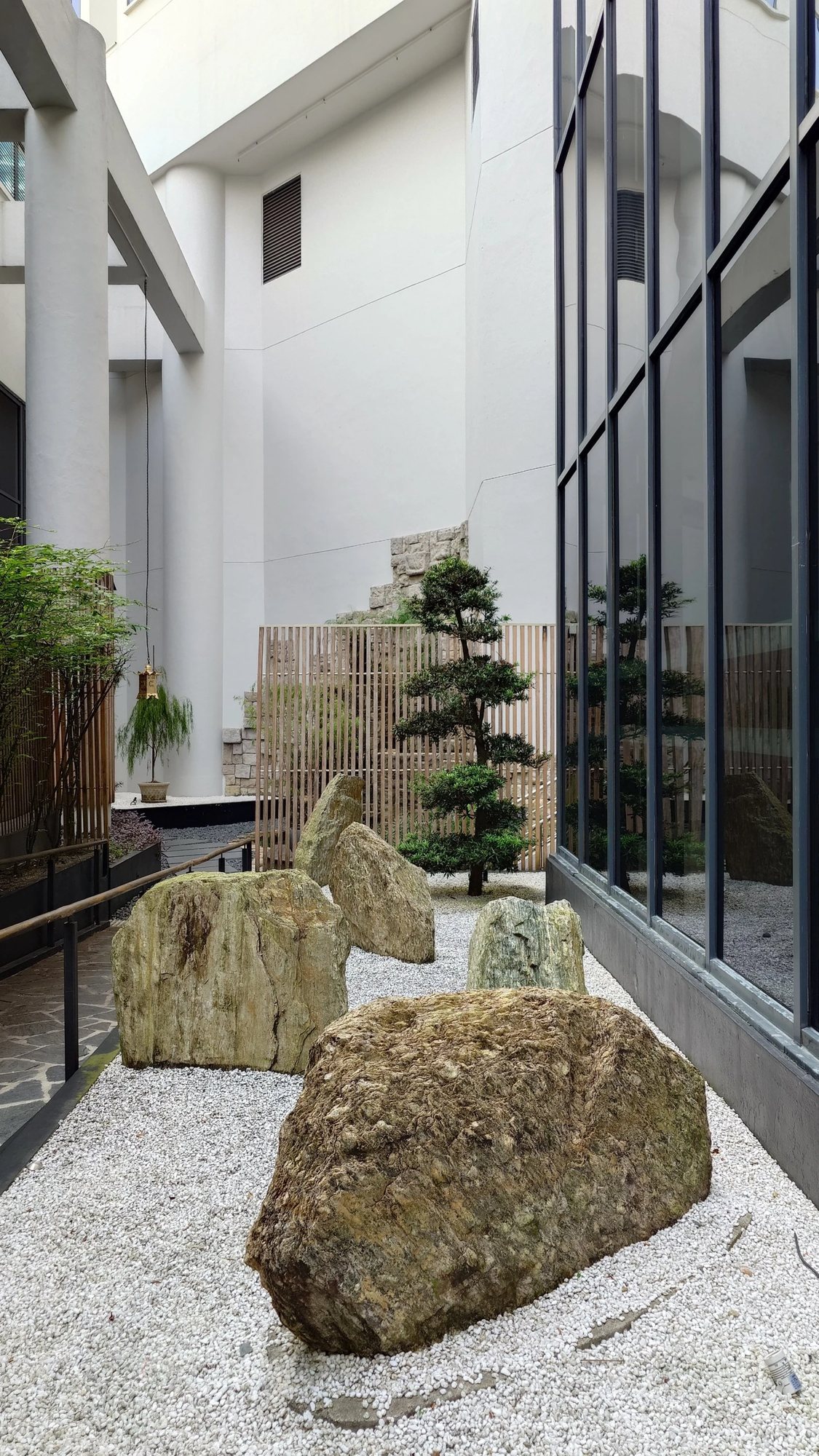 Rocks and pines in the Japanese garden