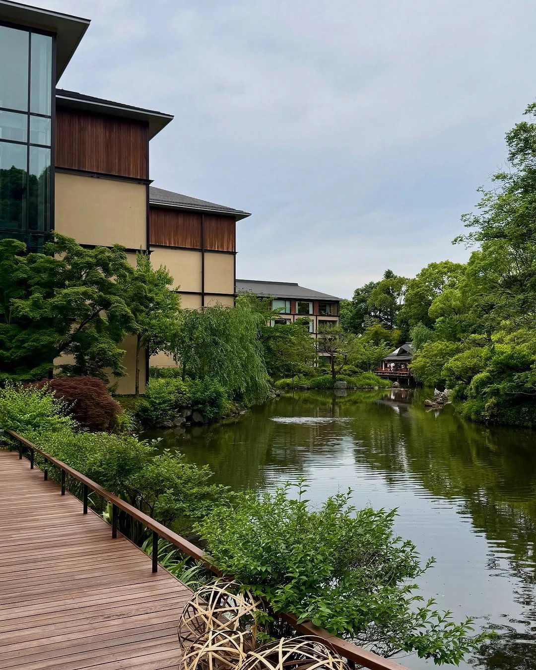 The garden boardwalk beside the pond