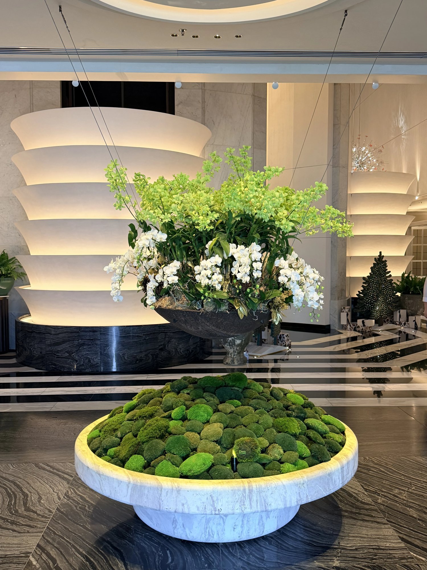 An orchid and moss arrangement in the lobby