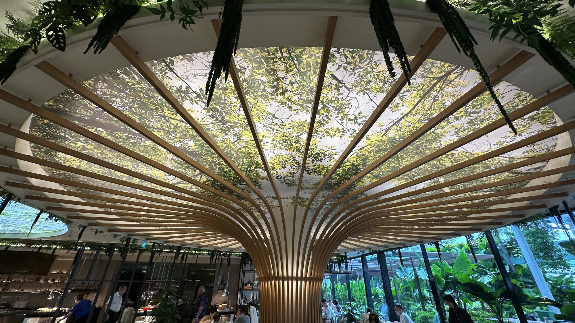 The tree-shaped ceiling of the embu restaurant