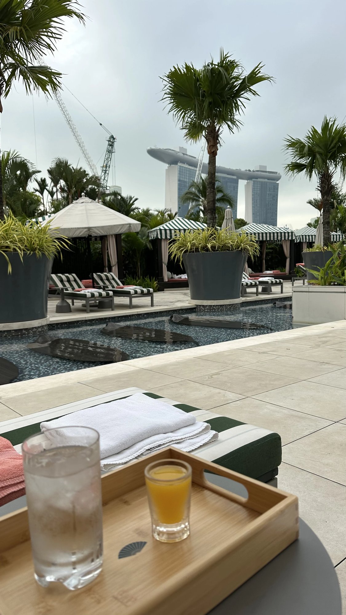 Iced drinks poolside with Marina Bay Sands beyond the palms