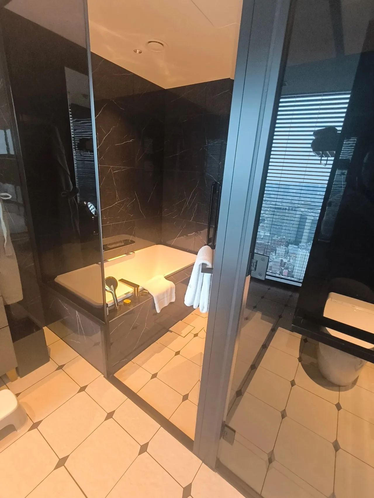 The glass-walled tub and shower in black marble with a city view