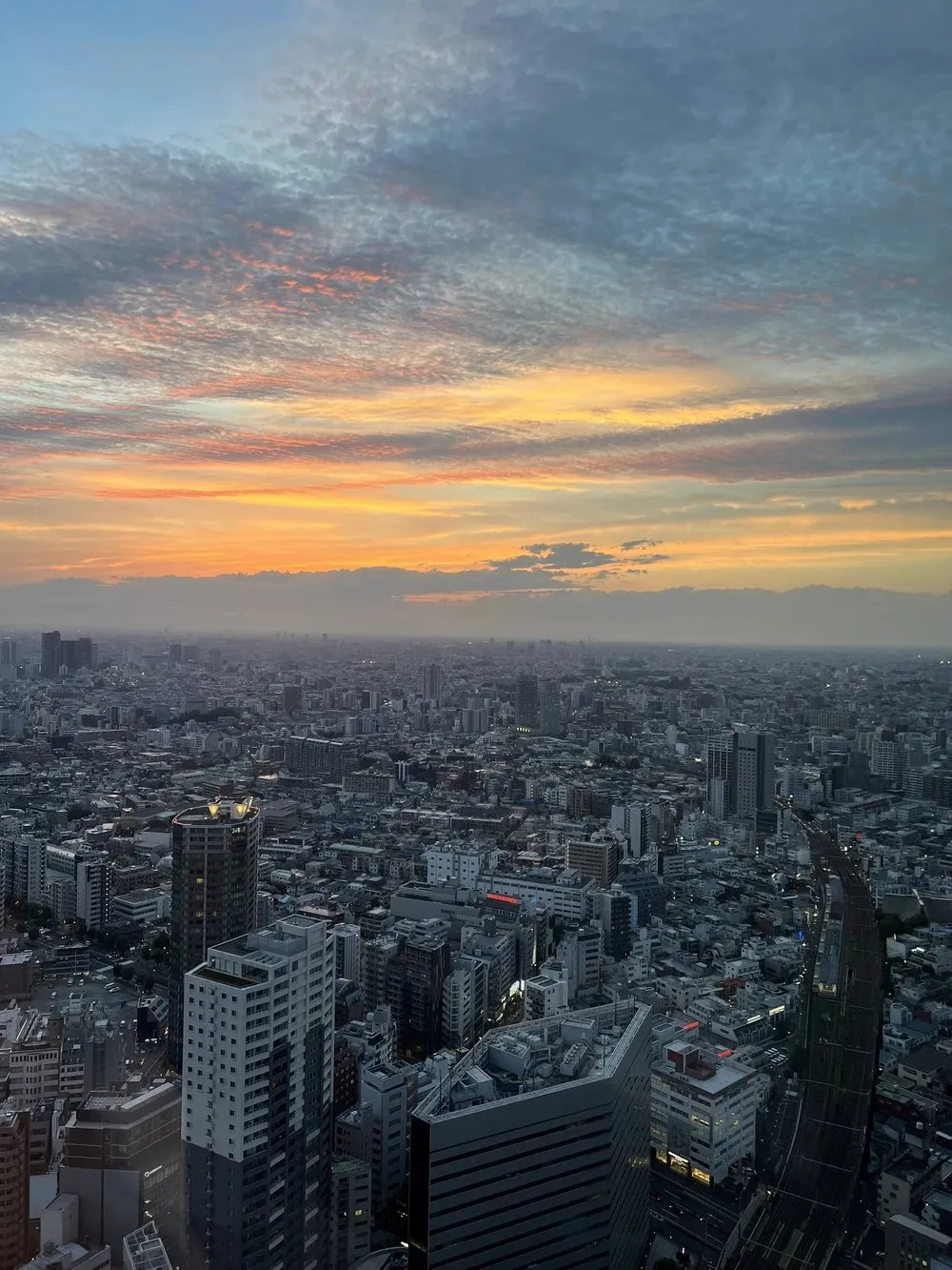 Sunset colours over the Tokyo skyline from the room