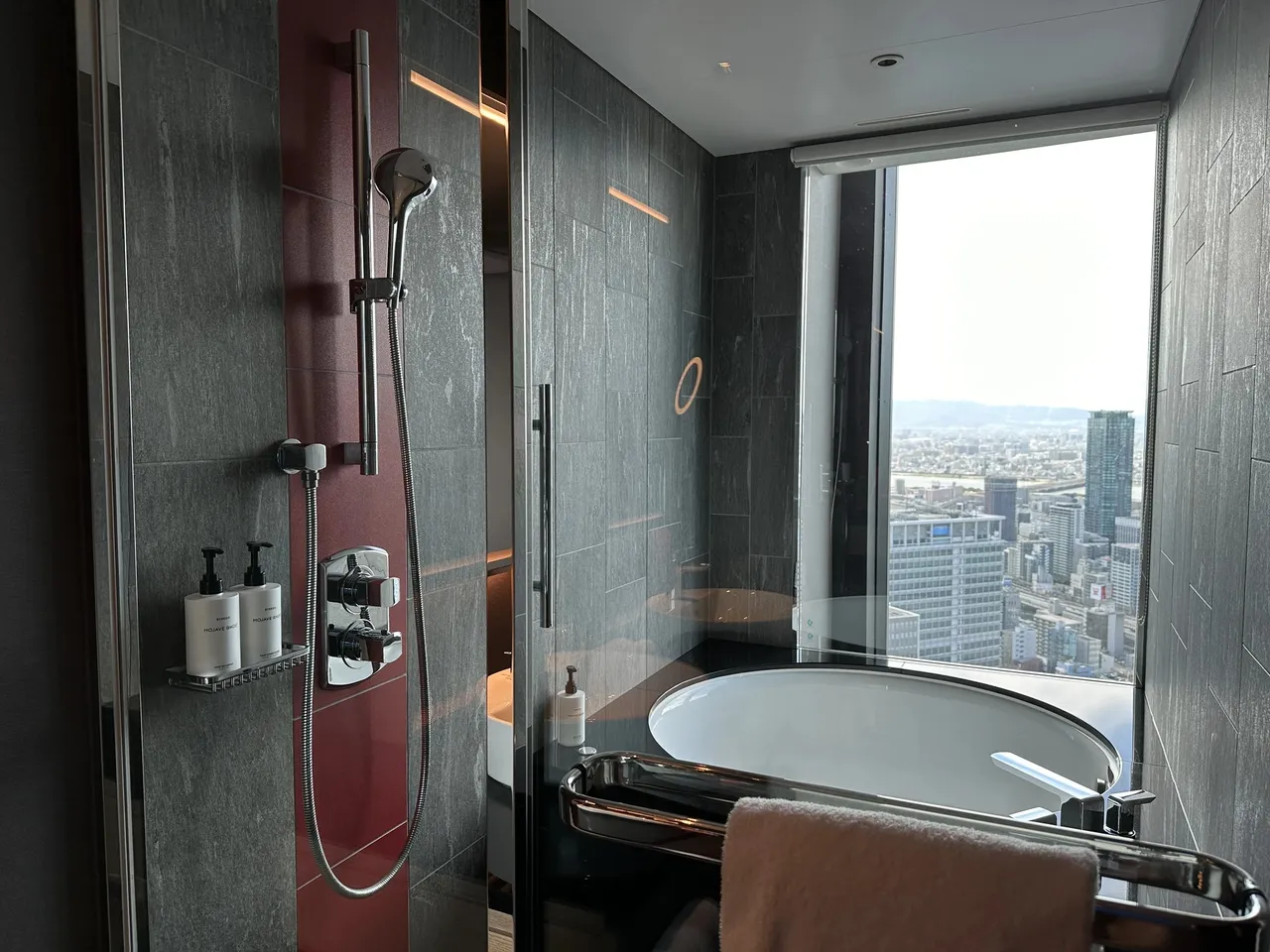 The bathroom with a glass shower and a deep tub beside a window over the city