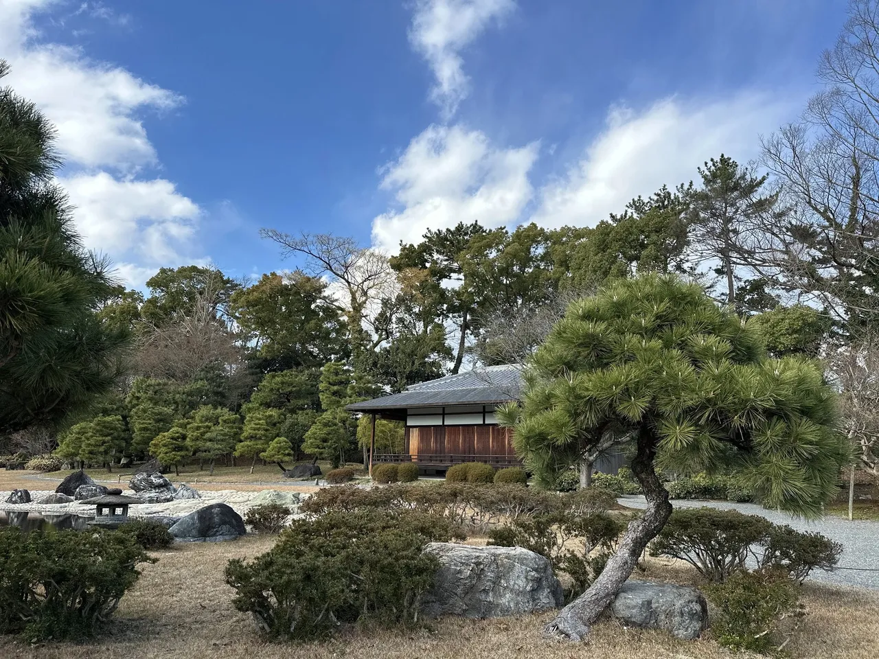 Pine and pond in the garden of nearby Nijo Castle