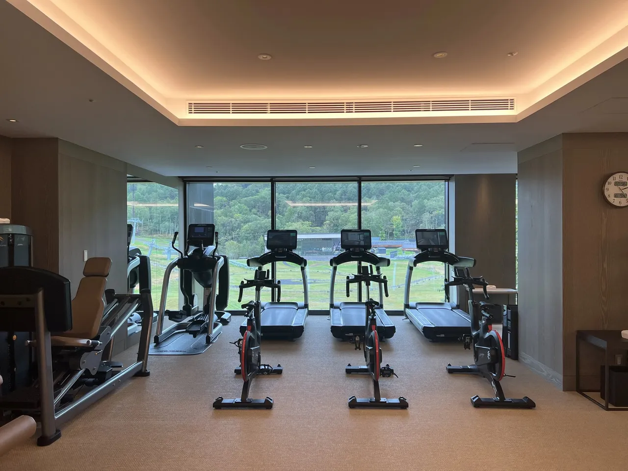 The gym with cardio machines facing the valley