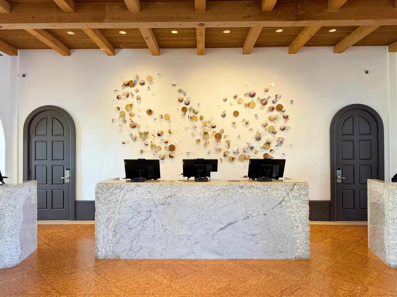 The reception desk with shell art and a timber ceiling